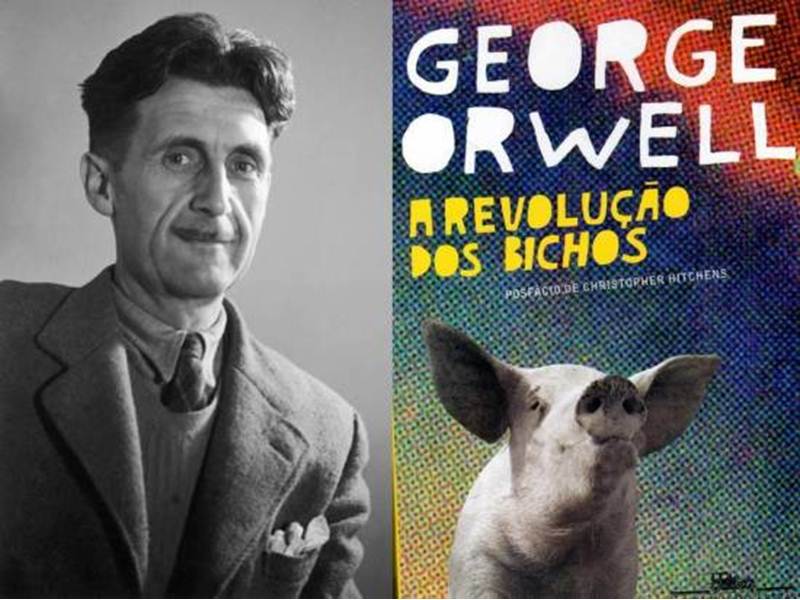 2 Coelhos: um filme que te acertará com uma Caixa D'água Só